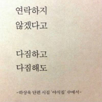 야식집…