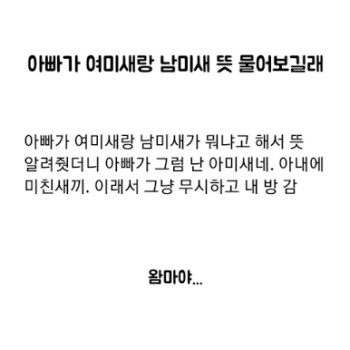아미새~~