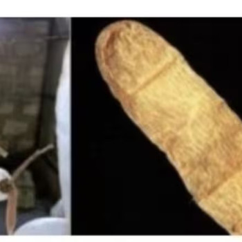 조선시대에 피임용으로 쓰였다는 것