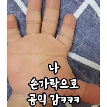 특이한 손..